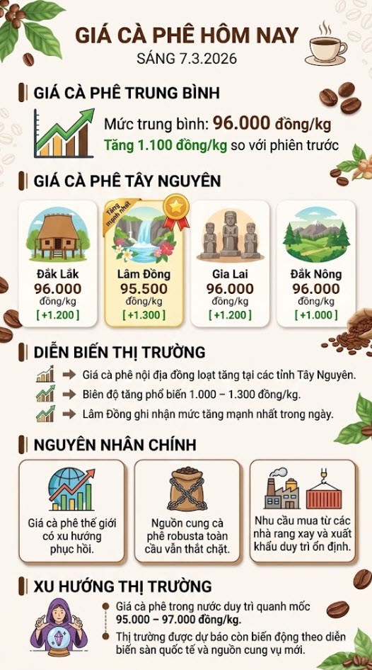Giá cà phê hôm nay 7.3: Tây Nguyên giữ vững mốc 96.000 đồng/kg - ảnh 3