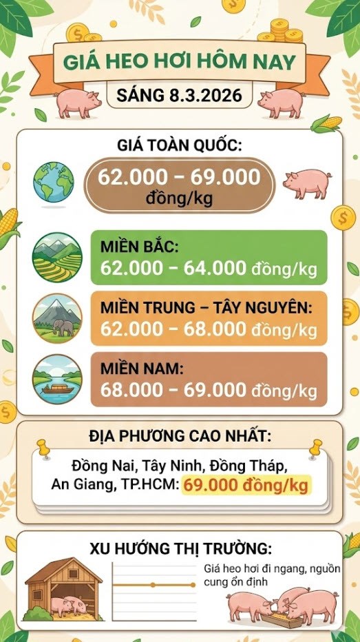 Giá heo hơi hôm nay 8.3: Miền Bắc quanh 62.000 – 64.000 đồng/kg - ảnh 3