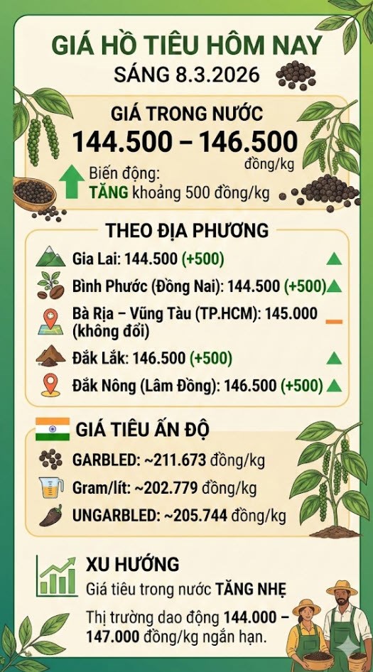 Giá hồ tiêu hôm nay 8.3: Tăng 500 đồng/kg tại nhiều địa phương - ảnh 3