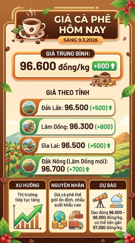 Giá cà phê hôm nay 9.3: Tây Nguyên giữ mốc 96.600 đồng/kg - ảnh 3