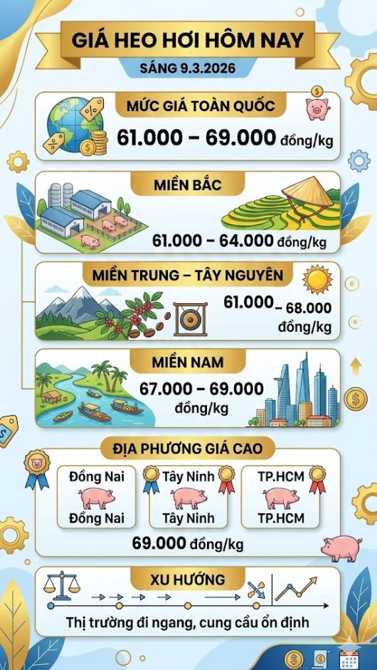 Giá heo hơi hôm nay 9.3: Dao động 61.000 - 69.000 đồng/kg - ảnh 3