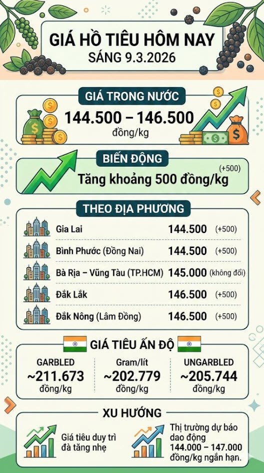 Giá hồ tiêu hôm nay 9.3: Duy trì đà tăng ở các địa phương - ảnh 3