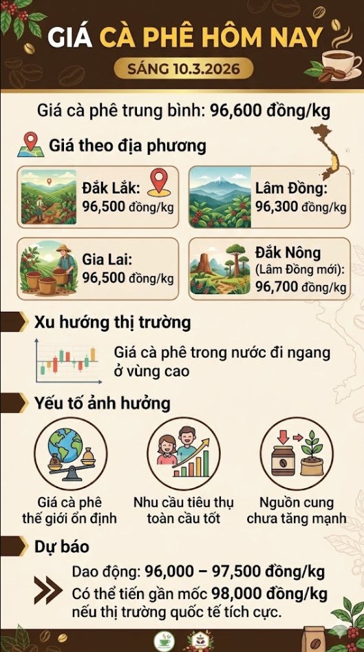 Giá cà phê hôm nay 10.3: Tây Nguyên giữ mốc cao 96,600 đồng/kg - ảnh 3