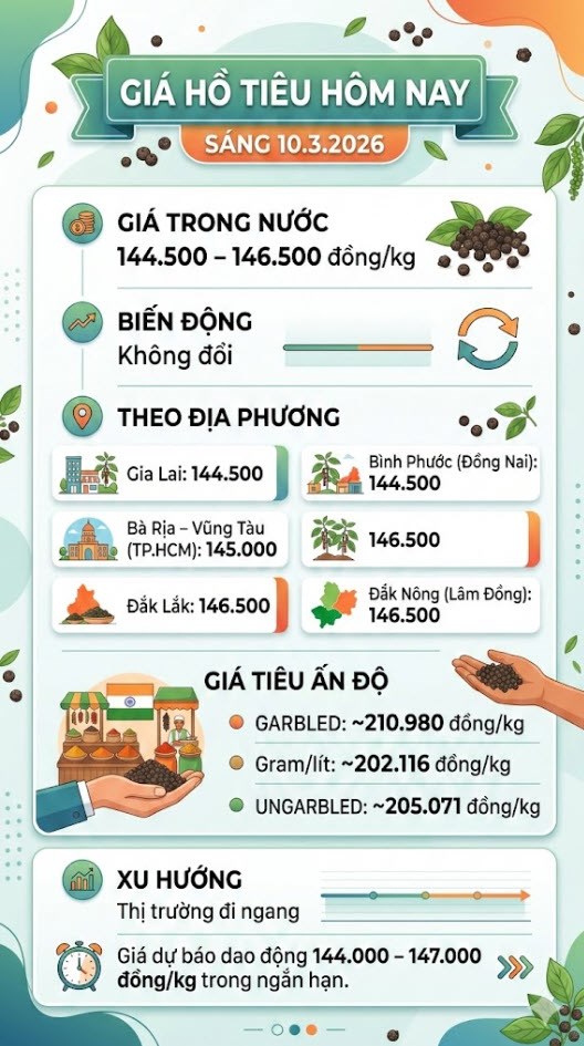 Giá hồ tiêu hôm nay 10.3: Đi ngang, cao nhất 146.500 đồng/kg - ảnh 3