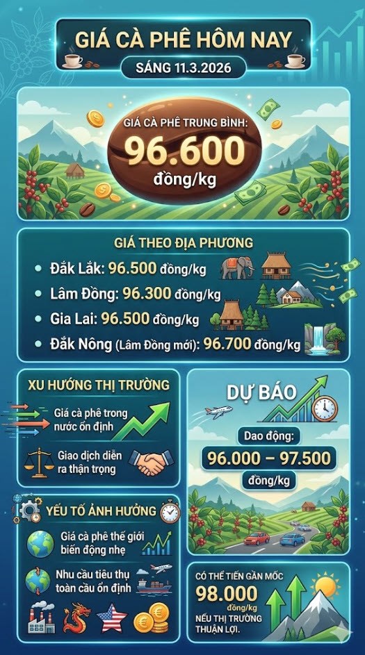 Giá cà phê hôm nay 11.3: Tây Nguyên giữ mốc cao 96.600 đồng/kg - ảnh 3
