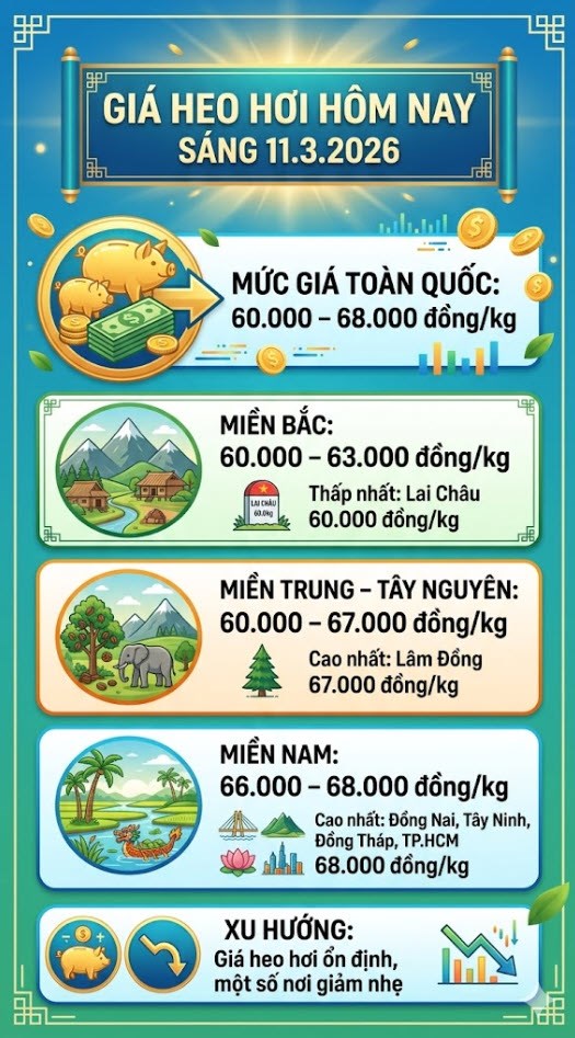Giá heo hơi hôm nay 11.3: Dao động 60.000 – 68.000 đồng/kg - ảnh 3