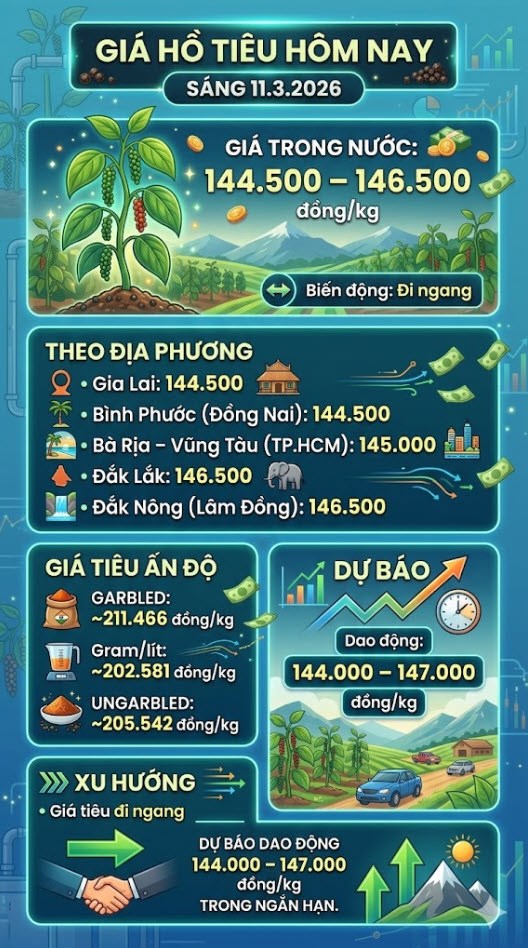 Giá hồ tiêu hôm nay 11.3: Giữ giá cao giữa mùa thu hoạch - ảnh 3