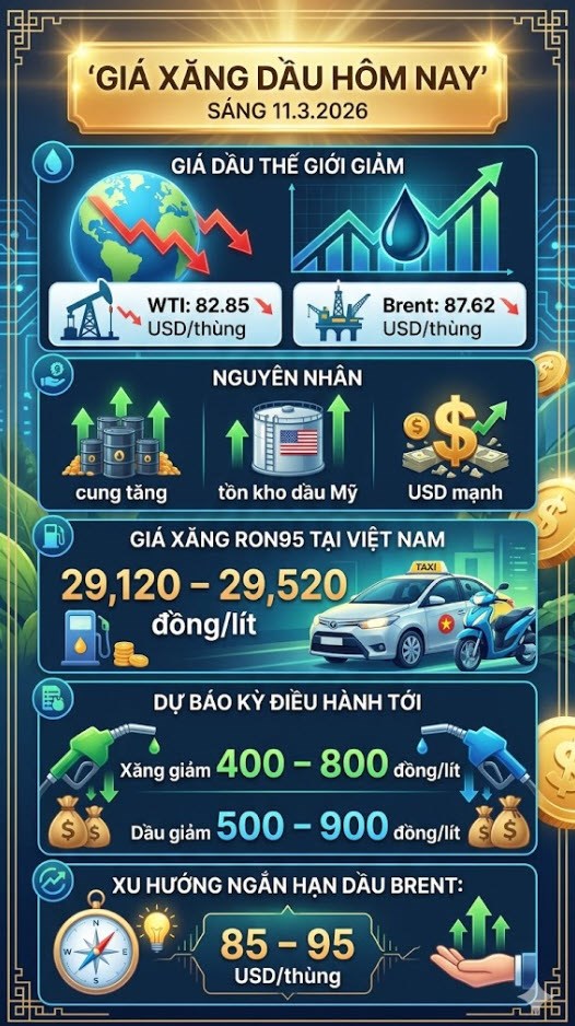 Giá xăng dầu hôm nay 11.3: Dầu thế giới giảm, xăng trong nước sắp hạ nhiệt - ảnh 3