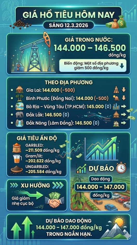 Giá hồ tiêu hôm nay 12.3: Một số địa phương giảm nhẹ - ảnh 3