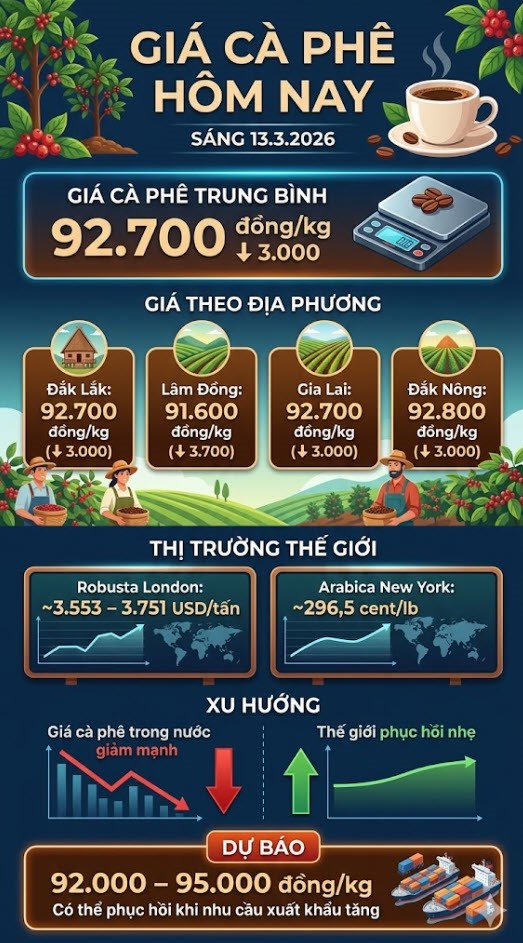 Giá cà phê hôm nay 13.3: Tây Nguyên giảm mạnh còn 92.700 đồng/kg - ảnh 3
