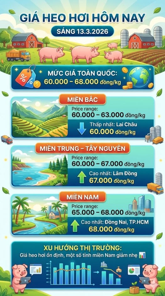 Giá heo hơi hôm nay 13.3: Dao động 60.000 – 68.000 đồng/kg - ảnh 3