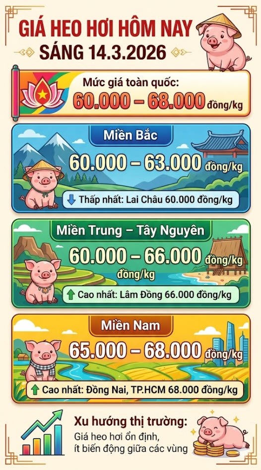 Giá heo hơi hôm nay 14.3: Dao động 60.000 - 68.000 đồng/kg - ảnh 2