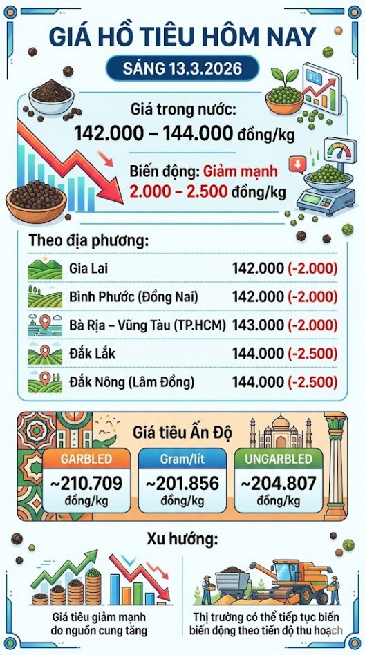 Giá hồ tiêu hôm nay 13.3: Giảm mạnh tới 2.500 đồng/kg - ảnh 3