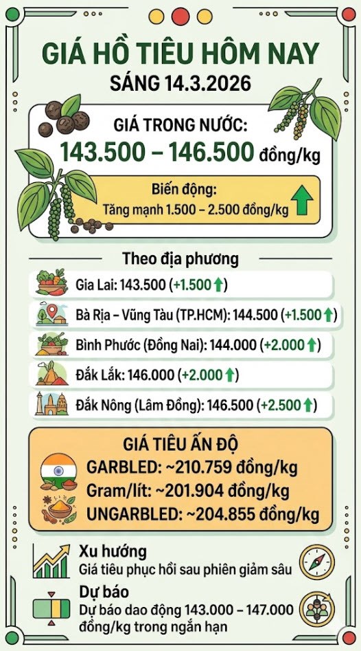 Giá hồ tiêu hôm nay 14.3: Bật tăng tới 2.500 đồng/kg - ảnh 3
