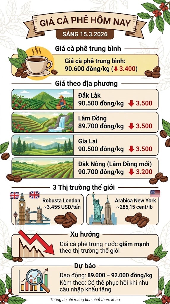 Giá cà phê hôm nay 15.3: Tây Nguyên giảm mạnh còn 90.600 đồng/kg - ảnh 3
