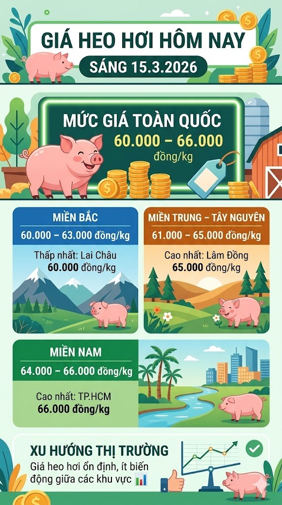 Giá heo hơi hôm nay 15.3: Thị trường ba miền duy trì ổn định - ảnh 3