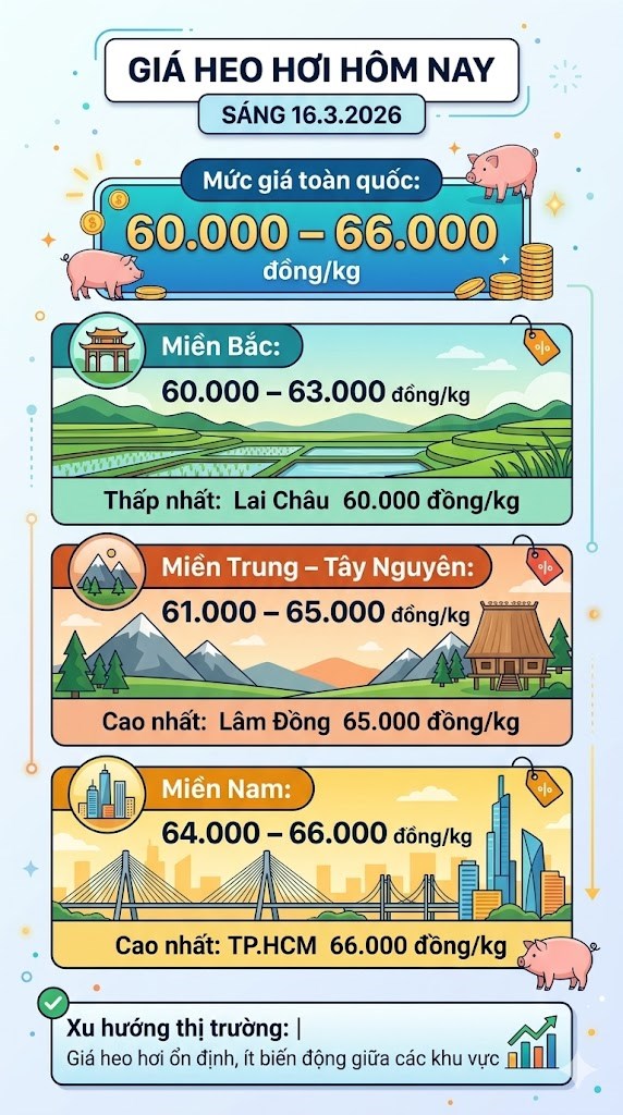 Giá heo hơi hôm nay 16.3: Dao động 60.000 – 66.000 đồng/kg - ảnh 3