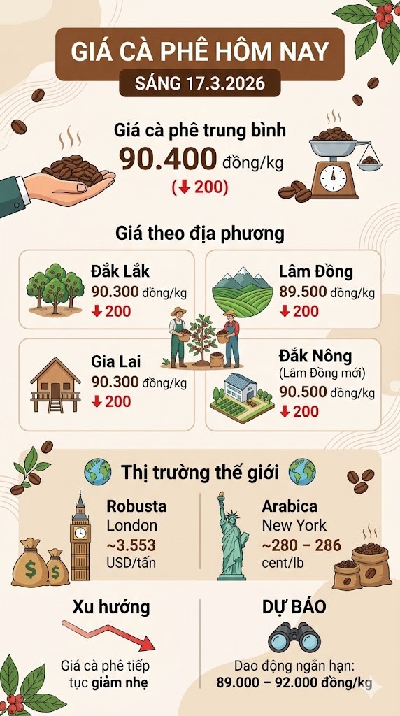Giá cà phê hôm nay 17.3: Tây Nguyên giảm nhẹ còn 90.400 đồng/kg - ảnh 3