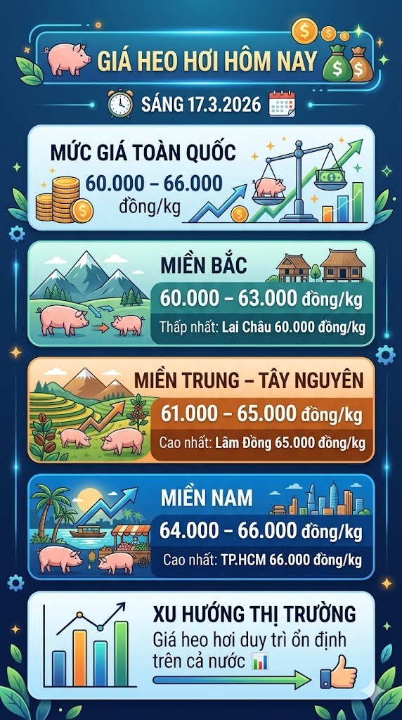 Giá heo hơi hôm nay 17.3: Lâm Đồng và TP.HCM giữ mức cao nhất - ảnh 3