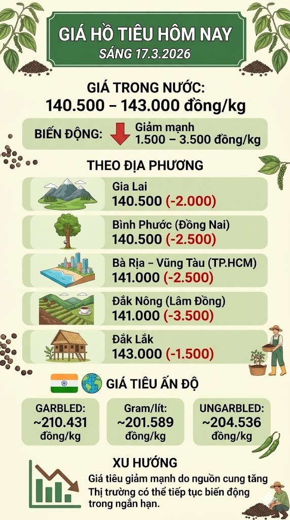 Giá hồ tiêu hôm nay 17.3: Giảm mạnh giữa mùa thu hoạch - ảnh 3