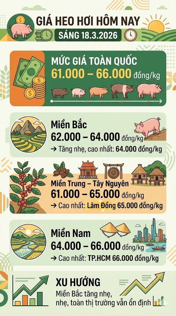 Giá heo hơi hôm nay 18.3: Tăng nhẹ tại miền Bắc, cao nhất 66.000 đồng/kg - ảnh 3