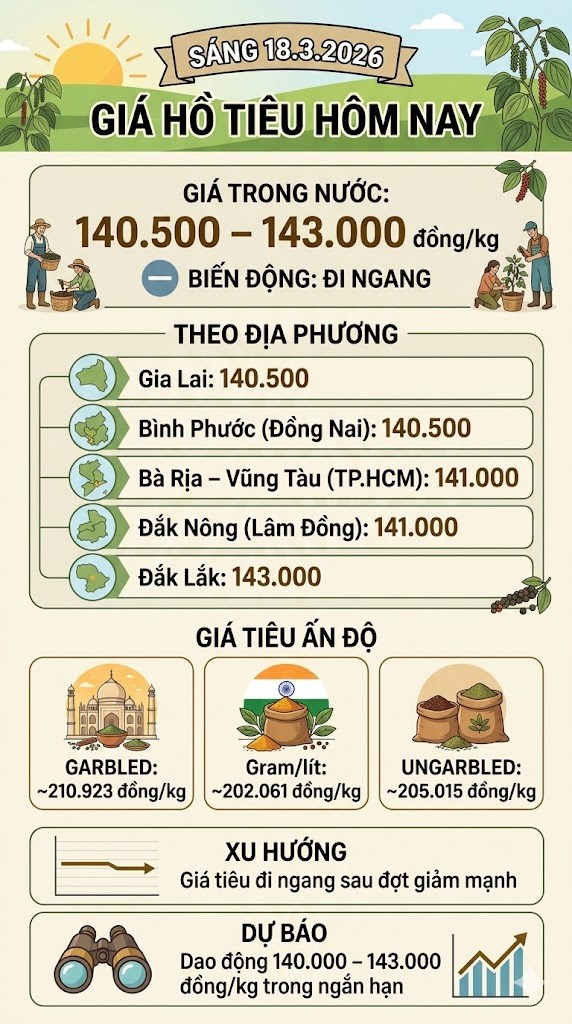 Giá hồ tiêu hôm nay 18.3 đi ngang sau đợt giảm sâu - ảnh 3