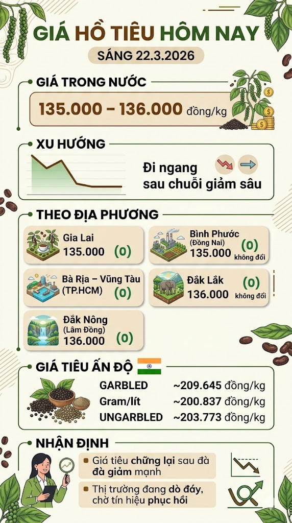 Giá hồ tiêu hôm nay 22.3: Trong nước chững lại ở vùng thấp - ảnh 3