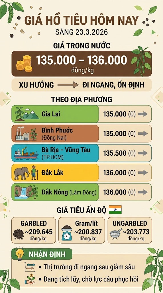 Giá hồ tiêu hôm nay 23.3: Tiếp tục “đứng im” sau đà giảm mạnh - ảnh 3