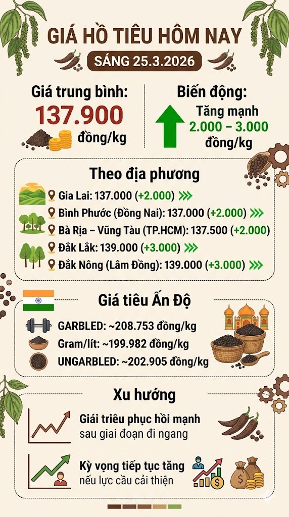Giá hồ tiêu hôm nay 25.3: Bật tăng mạnh sau chuỗi ngày đi ngang - ảnh 3