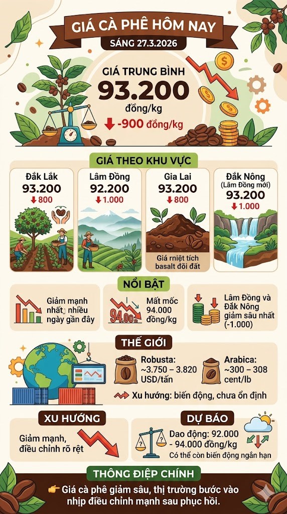 Giá cà phê hôm nay 27.3: Giảm mạnh 900 đồng/kg - ảnh 3