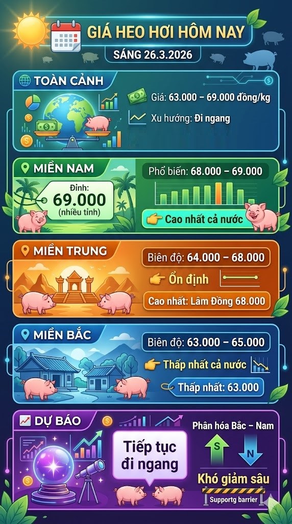 Giá heo hơi hôm nay 26.3: Phân hóa mạnh, miền Bắc thấp nhất 63.000 - ảnh 1