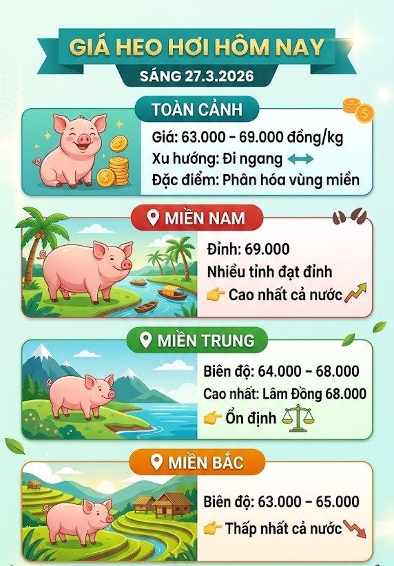 Giá heo hơi hôm nay 27.3: Phân hóa rõ giữa ba miền - ảnh 3