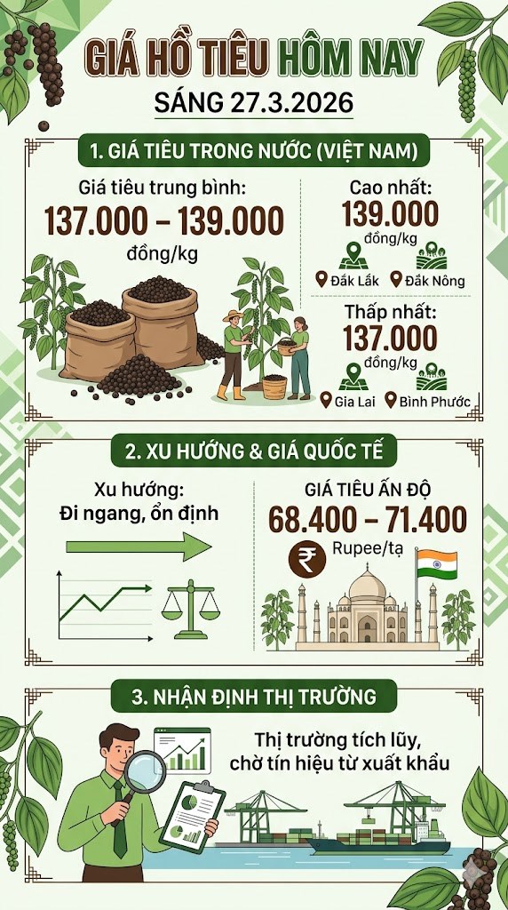 Giá hồ tiêu hôm nay 27.3: Đi ngang, giữ mốc 139.000 đồng/kg - ảnh 3