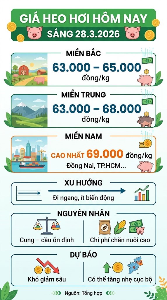 Giá heo hơi hôm nay 28.3: Chênh lệch ba miền ngày càng rõ - ảnh 3