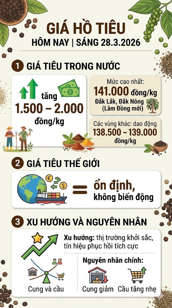 Giá hồ tiêu hôm nay 28.3: Bật tăng mạnh, vượt 141.000 đồng/kg - ảnh 3