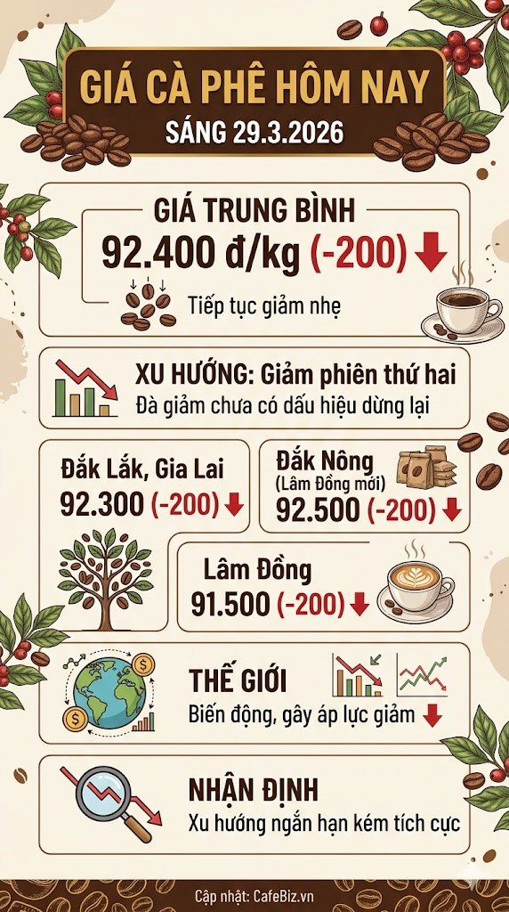 Giá cà phê hôm nay 29.3: Áp lực bán mạnh, giảm đồng loạt - ảnh 3