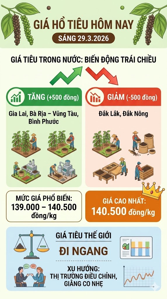 Giá hồ tiêu hôm nay 29.3: Tăng giảm trái chiều - ảnh 3