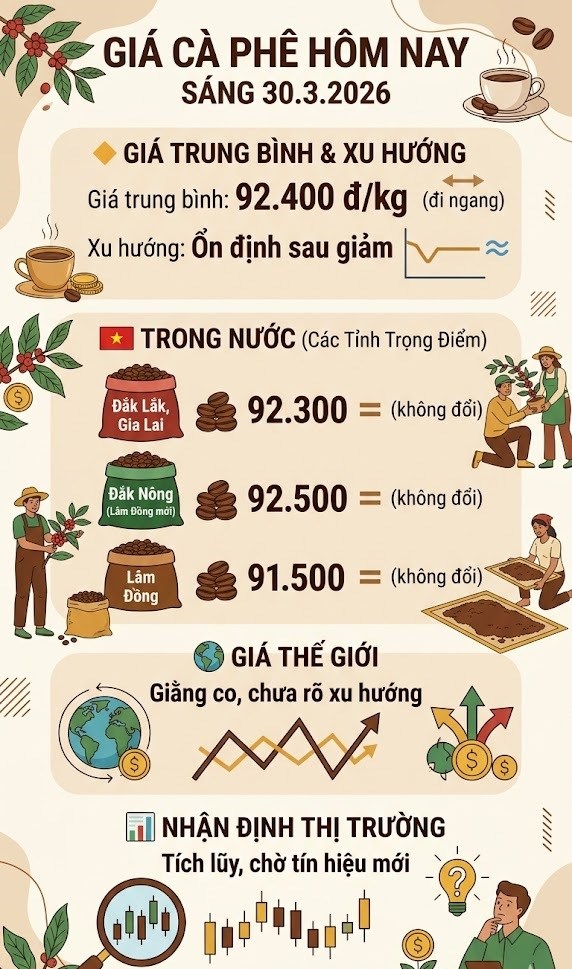 Giá cà phê hôm nay 30.3: Thị trường đi ngang, giữ mốc 92.400 đồng/kg - ảnh 3
