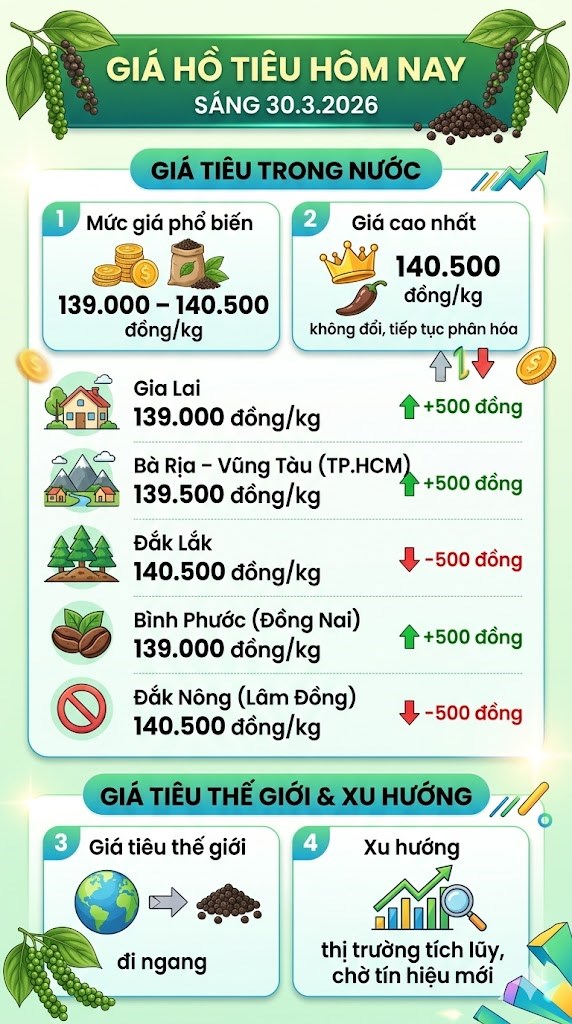 Giá hồ tiêu hôm nay 30.3: Thị trường chững lại sau biến động - ảnh 3