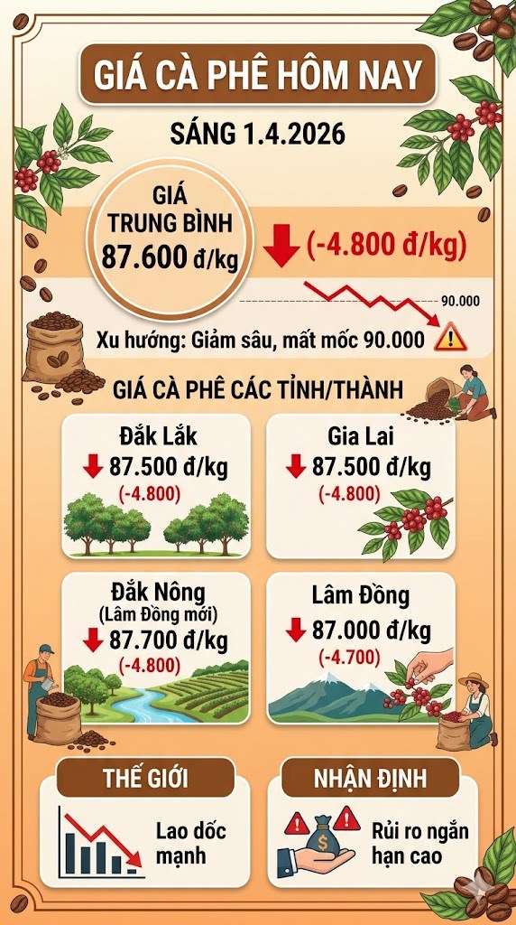 Giá cà phê hôm nay 1.4: Lao dốc hơn 4.800 đồng/kg - ảnh 3