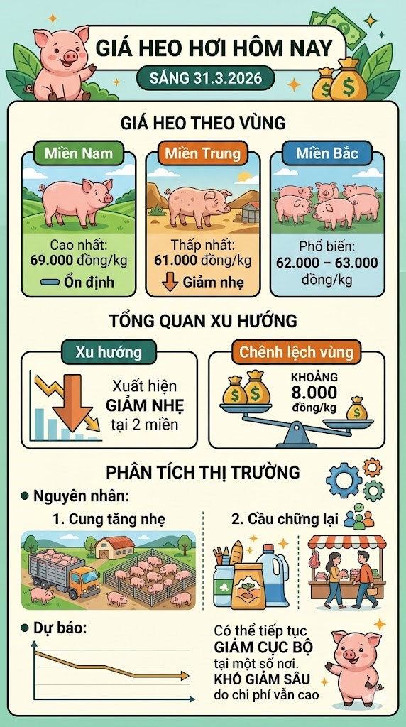 Giá heo hơi hôm nay 31.3: Xuất hiện mức thấp 61.000 đồng/kg - ảnh 3