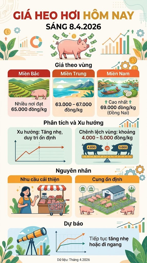 Giá heo hơi hôm nay 8.4: Tăng nhẹ, giữ mặt bằng cao - ảnh 3