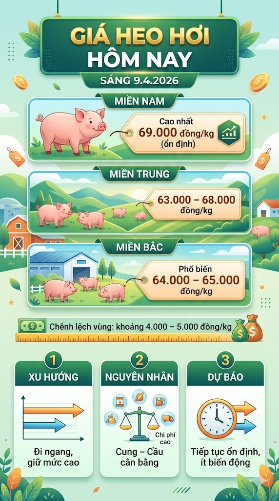 Giá heo hơi hôm nay 9.4: Thị trường ổn định ở mức cao - ảnh 3