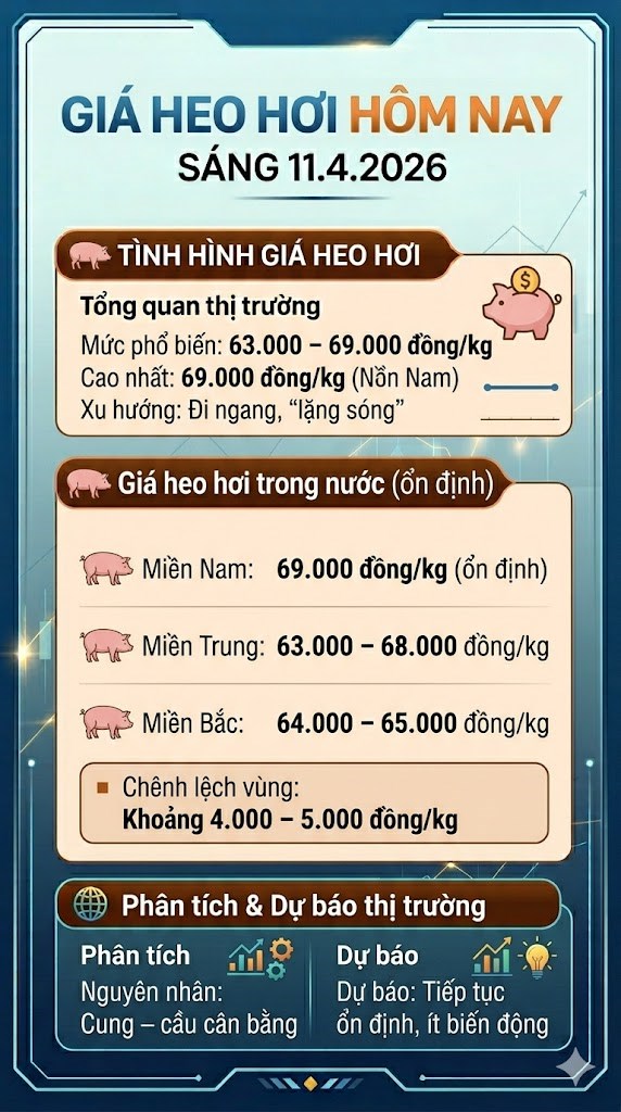 Giá heo hơi hôm nay 11.4: Giữ đỉnh 69.000 đồng/kg - ảnh 3