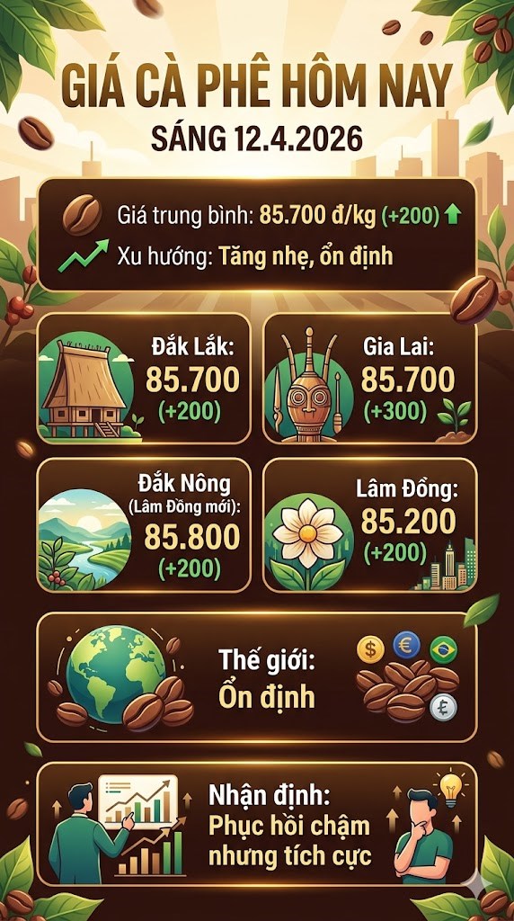 Giá cà phê hôm nay 12.4: Tăng chậm nhưng ổn định - ảnh 3