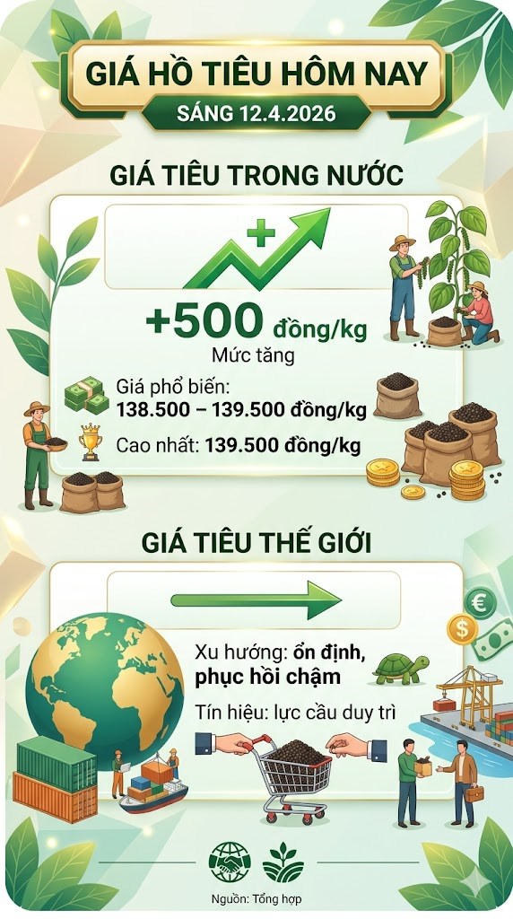 Giá hồ tiêu hôm nay 12.4: Tăng chậm nhưng chắc - ảnh 3