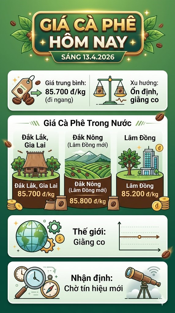 Giá cà phê hôm nay 13.4: Cà phê Tây Nguyên ổn định, chờ tín hiệu mới - ảnh 3