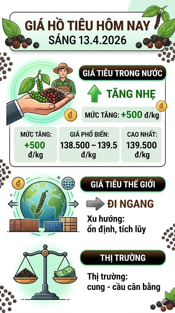 Giá hồ tiêu hôm nay 13.4: thị trường đang duy trì xu hướng ổn định - ảnh 3