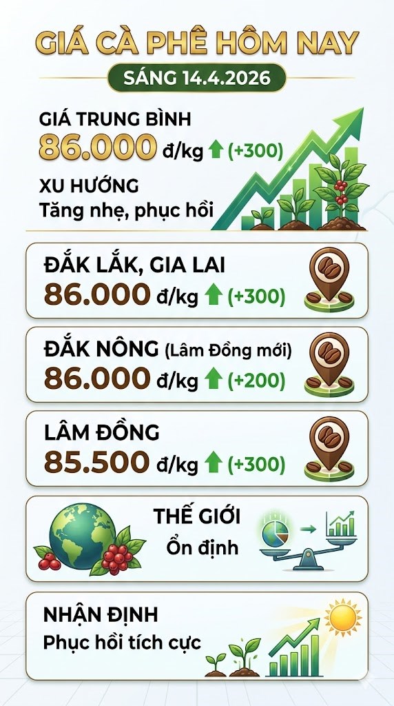 Giá cà phê hôm nay 14.4: Nhích lên sau giai đoạn ổn định - ảnh 3