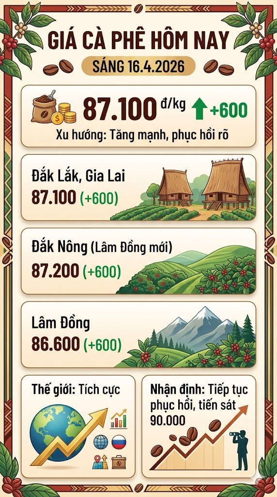 Giá cà phê hôm nay16.4: Tăng mạnh, tiến gần 90.000 đồng/kg - ảnh 3